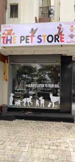The wet spot tropical fish: The Pet Store Adajan Dn Pet Shops In Surat Justdial
