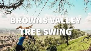 browns valley tree swing in vacaville