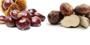 Slideshow Identifying Tree Nuts Allergic Living