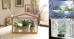 24 Diy Mini Indoor Greenhouse Ideas For