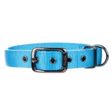 Top Paw Dog Collar Products Collars Dogs Pet Collars