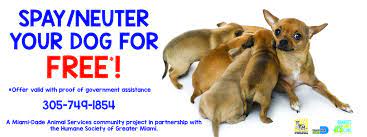 Building healthier communities with healthier dogs and cats. Free And Low Cost Spay And Neuter Humane Society Of Miami