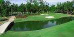 Golden Ocala Golf Course Produces Ideal Greens