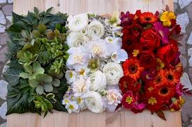 Immagini strane dal mondo dei fiori: Italia San Valentino Piante E Fiori Per I Regali