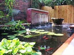 Image result for backyard ideas