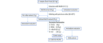 Flow Chart Of Extraction Fractionation Lc Dad Esi Ms Ms
