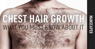 how to grow chest hair myths vs