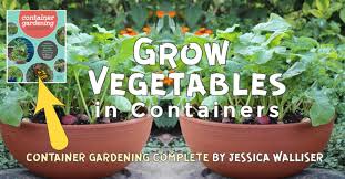 How To Grow Vegetables In Containers