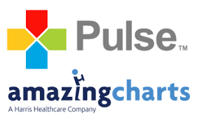 Intelichart Patient Portal Pulse Systems