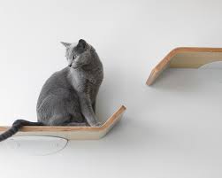 Floating Cat Shelves Minimalist Modern