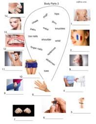 Look at the list below and write the names of the body parts vocabulary in the correct boxes. 3 Body Parts Vocabulary Worksheets For English Language Students