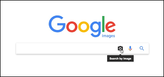 search by image with site restriction
