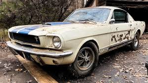 rare 1965 shelby gt350 rescued from