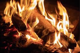What Is The Best Firewood To Burn For