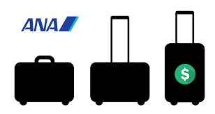 Ana Baggage Fees Policy 2019 Update
