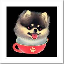 lovely pink teacup pomeranian puppy