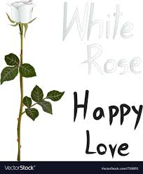 white rose meaning royalty free vector