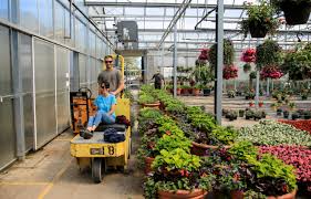 stockslagers greenhouse garden center