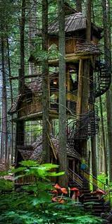 Standout Tree House Designs Not