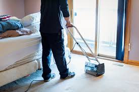 services freddy s carpet cleaning plus