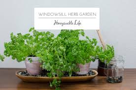 Windowsill Herb Garden Honeysuckle Life