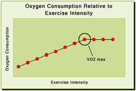 How Understanding Vo2 Max Can Help You Run Faster