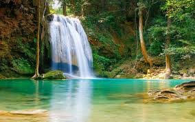 Nature Falls Pool With Turquoise Green