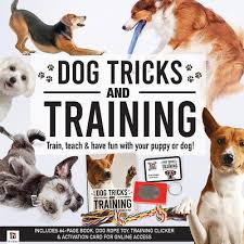 pet care guide dog training