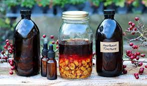 how to make hawthorn tincture lovely