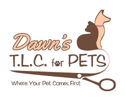 My dog and i just moved to davie where we had to leave behind my dog's day camp of 4 years. Dawn S T L C For Pets Branding On Behance