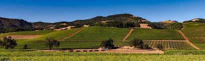 wine in california s napa valley