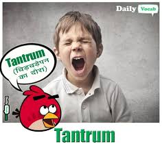 tantrum meaning in hindi with picture