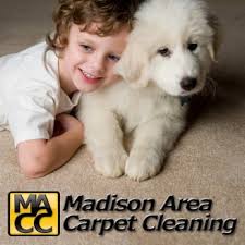 madison area carpet cleaning updated