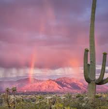 about tucson arizona things to do in