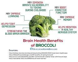 Broccoli Health Benefits Brain gambar png