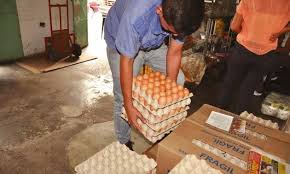 Resultado de imagen para venezuela produccion de huevos
