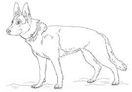 This drawing was made at internet users' disposal on 07 february 2106. German Shepherd Coloring Pages Best Coloring Pages For Kids