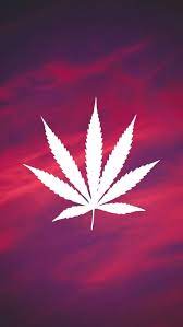 weed leaf hd wallpapers pxfuel