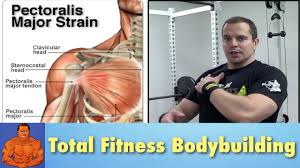 pulled chest muscle rehab exercises