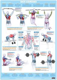 weight training bodybuilding exercise