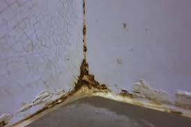 how to remove mold from silicone caulk