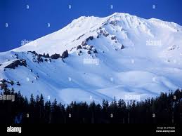 Bunny flat mount shasta hi-res stock photography and images - Alamy