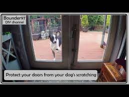 Protecting Your Doors From Your Dog
