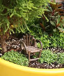 Plants To Use In Mini Gardens Full