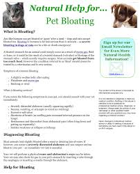 An ultrasound will give your doctor a lot of information and may help rule out or confirm the diagnosis. Natural Help For Bloating In Pets Remedies 4 Flip Ebook Pages 1 11 Anyflip Anyflip