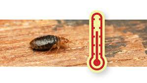 does heat kill bed bugs dodson pest