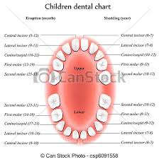 Children Dental Chart