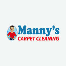 19 best ta carpet cleaners