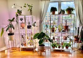 Use a free diy greenhouse plan to build a backyard greenhouse that allows you to grow your favorite flowers, vegetables, and herbs all year long. Added A Greenhouse To The Indoor Garden Setup Indoorgarden