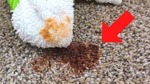 let s remove hair dye from carpet you